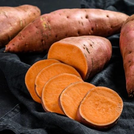 CAMOTE PERUANO