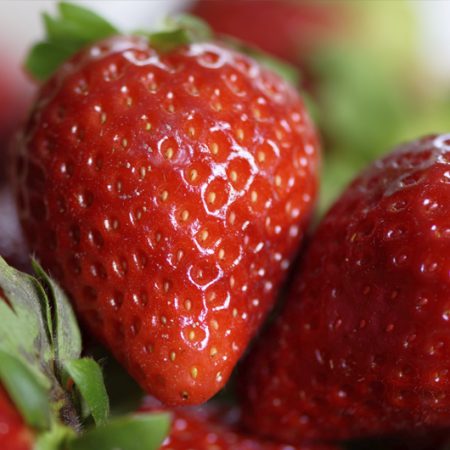 FRUTILLA