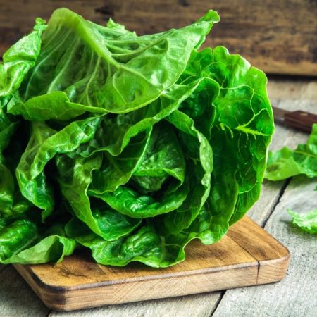 LECHUGA COSTINA