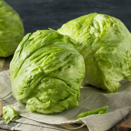 LECHUGA ESCAROLA