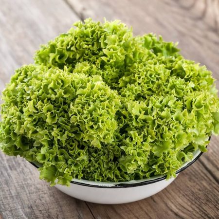 LECHUGA LOLLO BIONDA PEQUEÑA