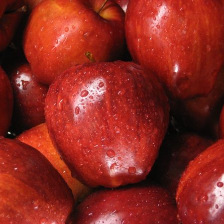 MANZANA ROJA DE EXPORTACION
