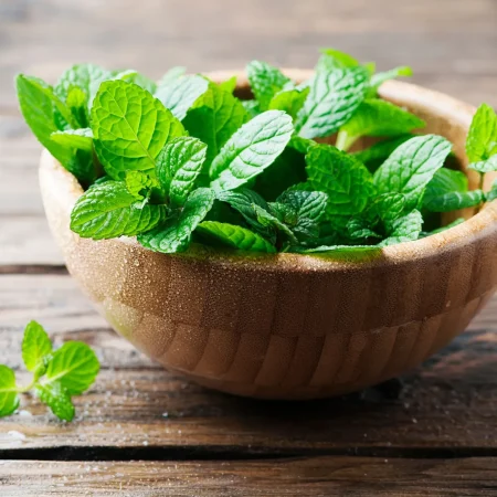 MENTA