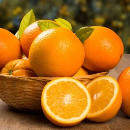 NARANJA DE EXPORTACION