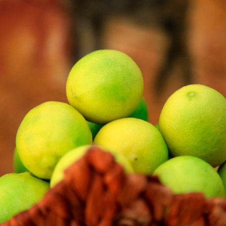 galeria-limon-de-pica-1