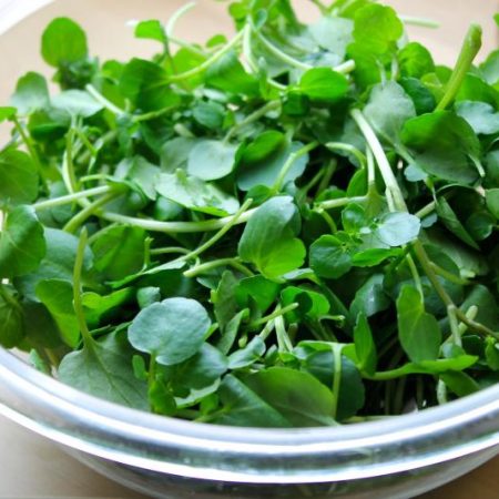 w800px_21951-174028-recetas-vegetarianas-ensalada-de-berros